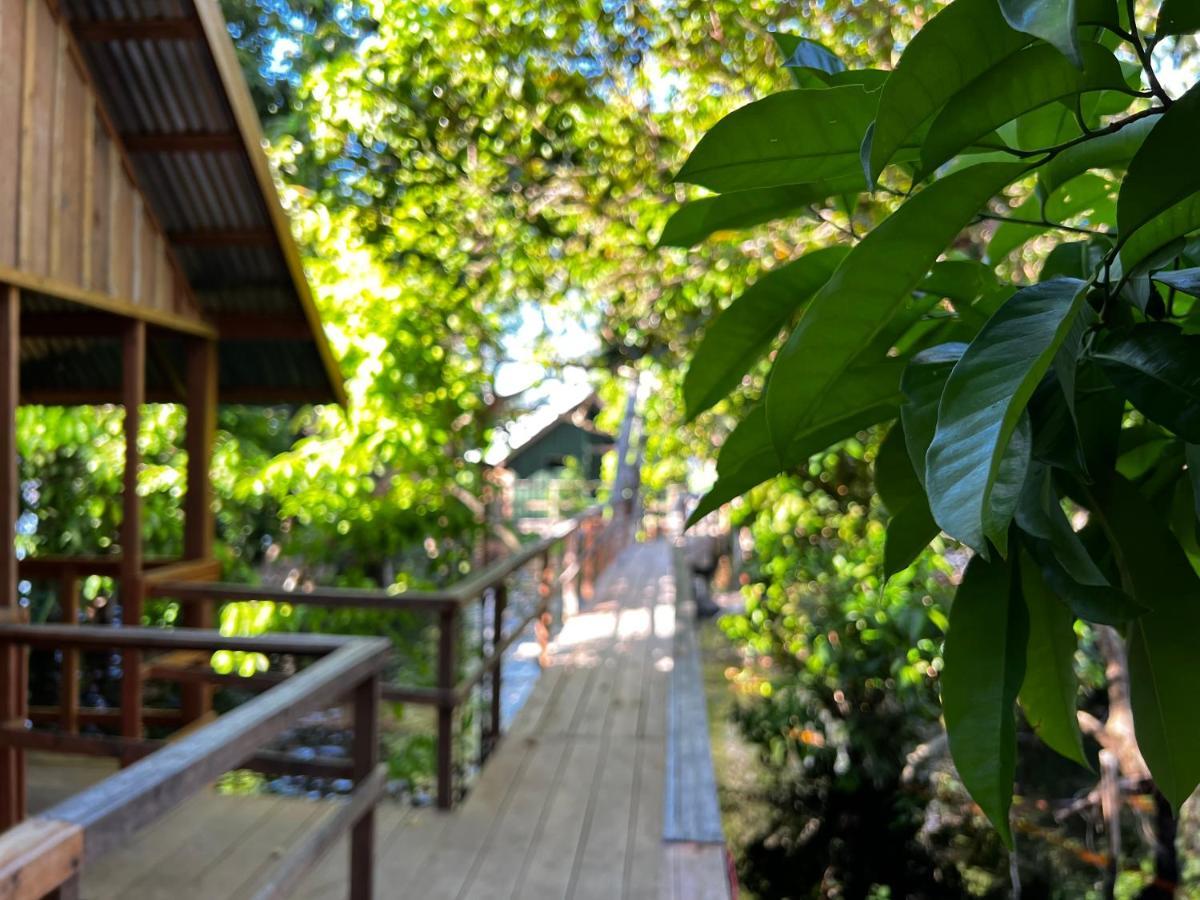 Amazonia Lodge Exxperience Paricatuba Zewnętrze zdjęcie