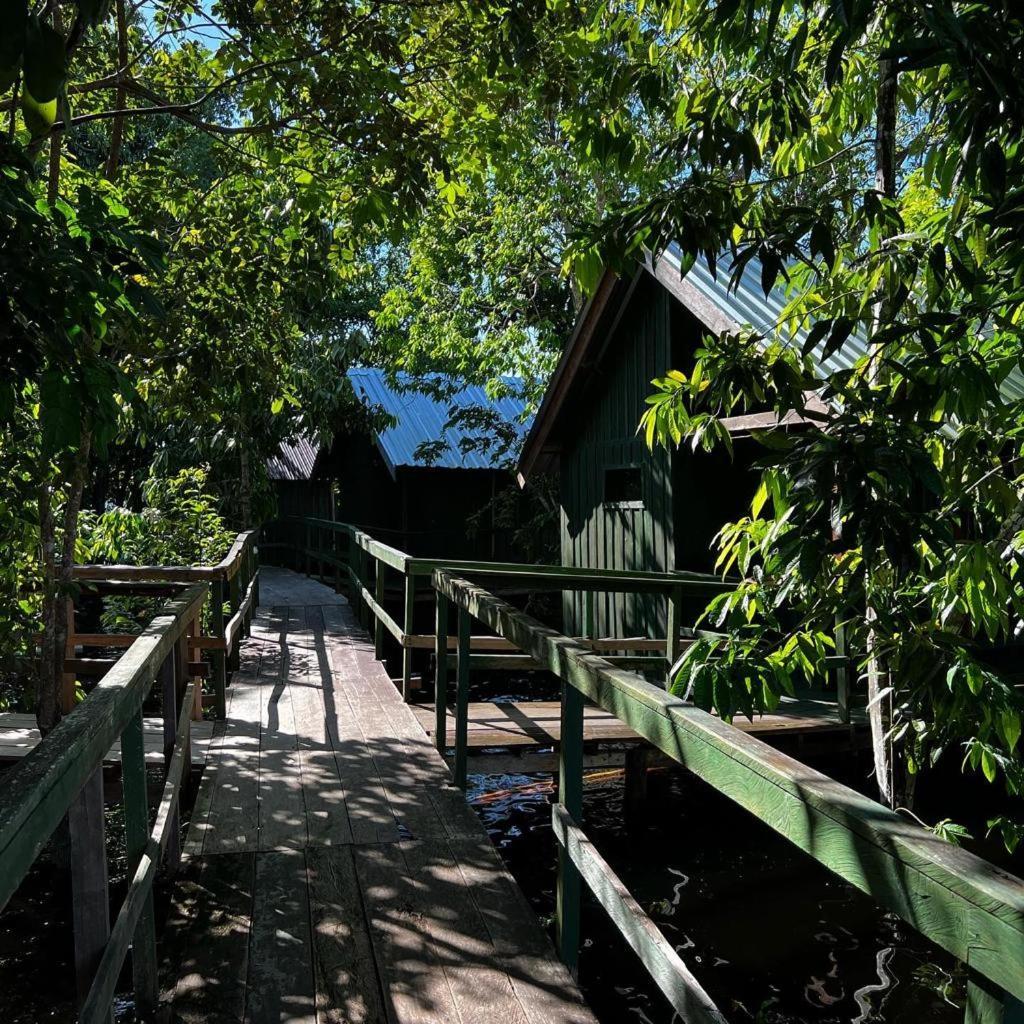 Amazonia Lodge Exxperience Paricatuba Zewnętrze zdjęcie